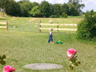Annenhof 1